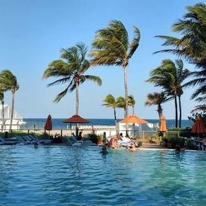 Meet your Posher, Kassandra